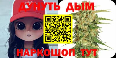 крисы Аргун