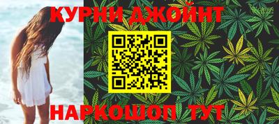 крисы Аргун