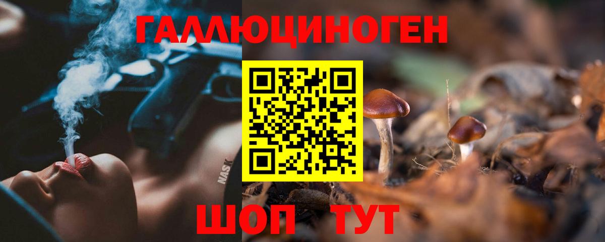Видное  Галлюциногенные грибы Psilocybine cubensis  где можно купить   Вход с VPN 